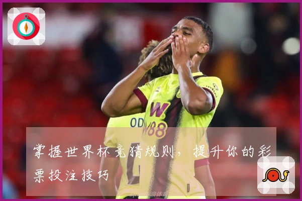 掌握世界杯竞猜规则，提升你的彩票投注技巧