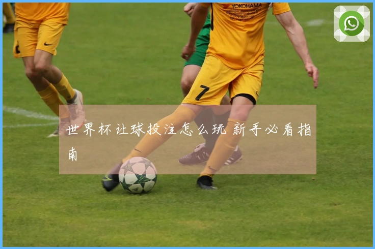 世界杯让球投注怎么玩 新手必看指南
