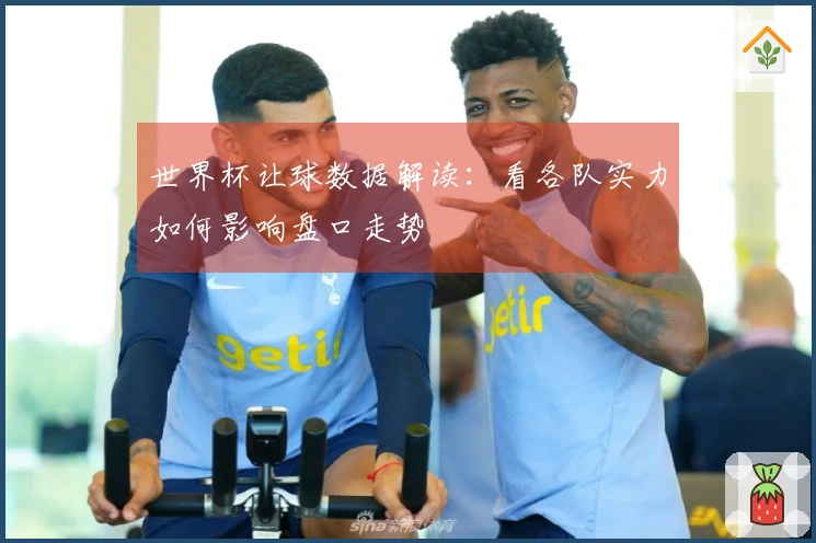 世界杯让球数据解读：看各队实力如何影响盘口走势