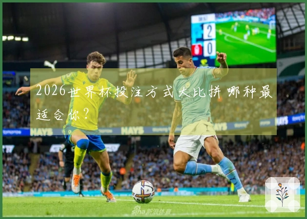 2026世界杯投注方式大比拼 哪种最适合你？