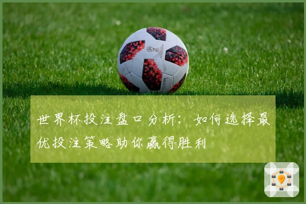 世界杯投注盘口分析：如何选择最优投注策略助你赢得胜利