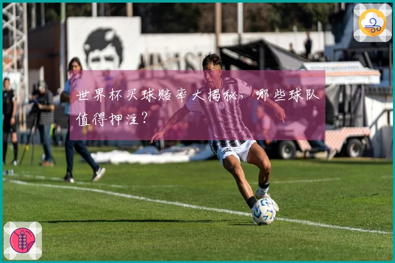 世界杯买球赔率大揭秘，哪些球队值得押注？