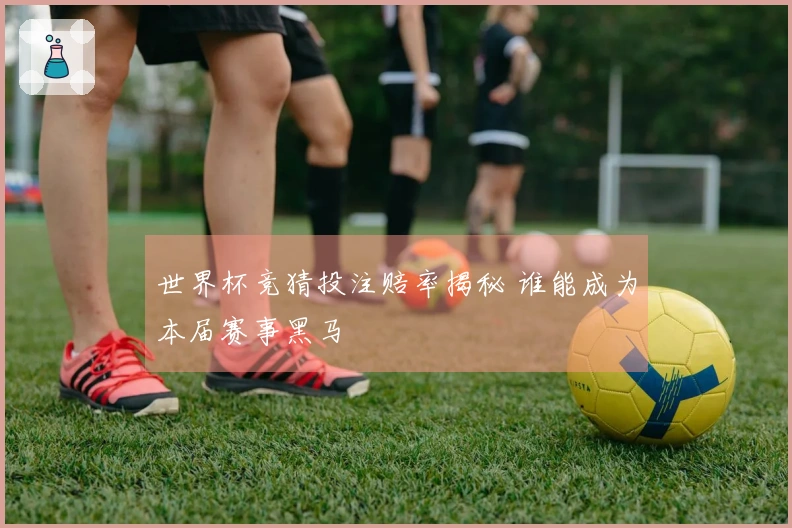 世界杯竞猜投注赔率揭秘 谁能成为本届赛事黑马