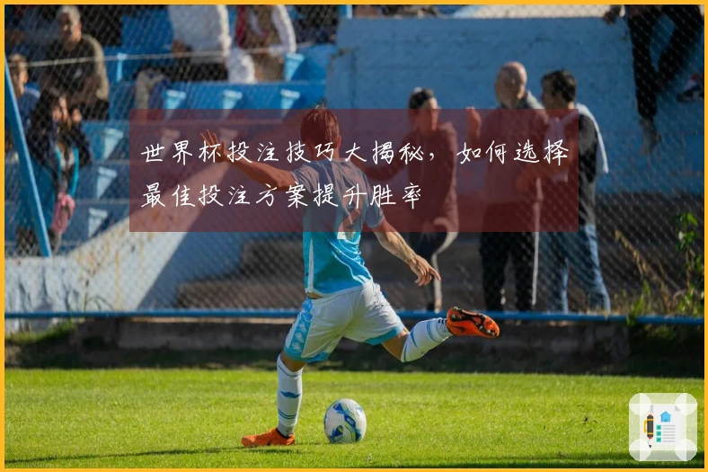 世界杯投注技巧大揭秘，如何选择最佳投注方案提升胜率