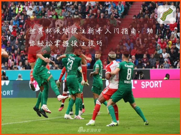 世界杯滚球投注新手入门指南，助你轻松掌握投注技巧