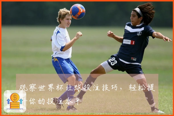 观察世界杯让球投注技巧，轻松提升你的投注水平