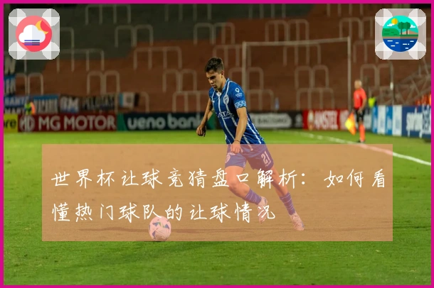 世界杯让球竞猜盘口解析：如何看懂热门球队的让球情况