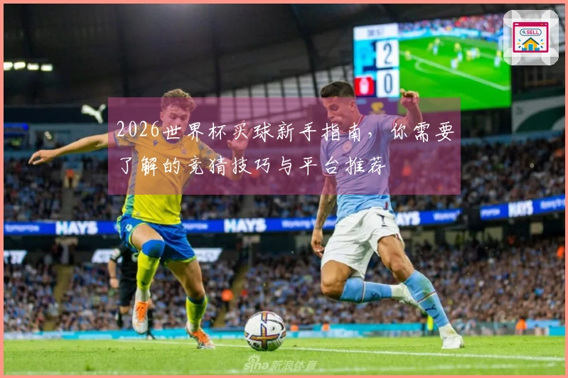 2026世界杯买球新手指南，你需要了解的竞猜技巧与平台推荐